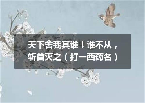 天下舍我其谁！谁不从，斩首灭之（打一西药名）