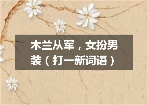 木兰从军，女扮男装（打一新词语）