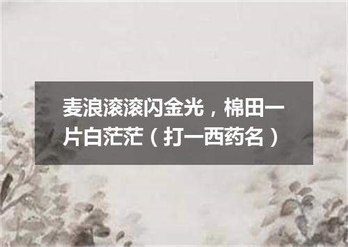 麦浪滚滚闪金光，棉田一片白茫茫（打一西药名）