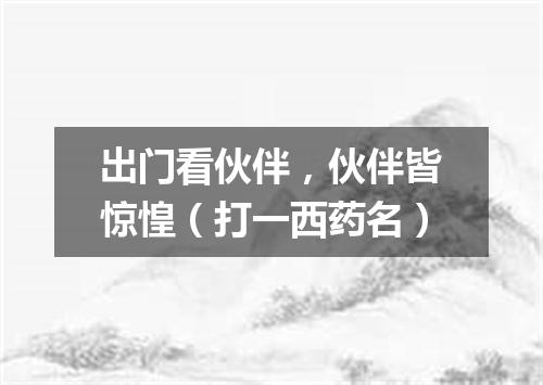 出门看伙伴，伙伴皆惊惶（打一西药名）
