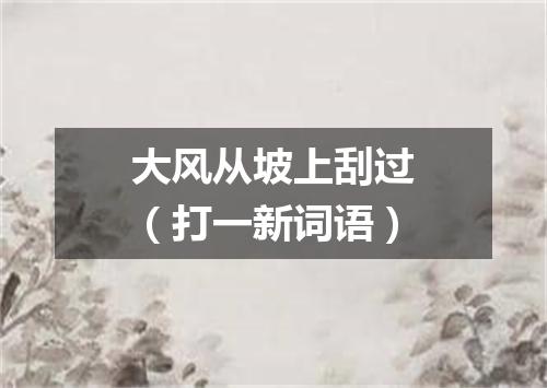 大风从坡上刮过（打一新词语）