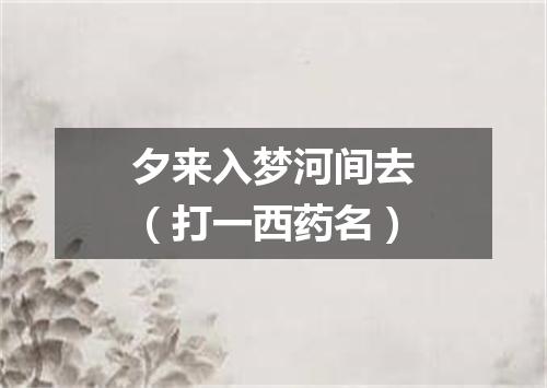 夕来入梦河间去（打一西药名）