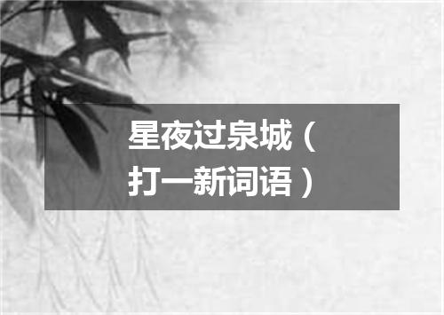 星夜过泉城（打一新词语）