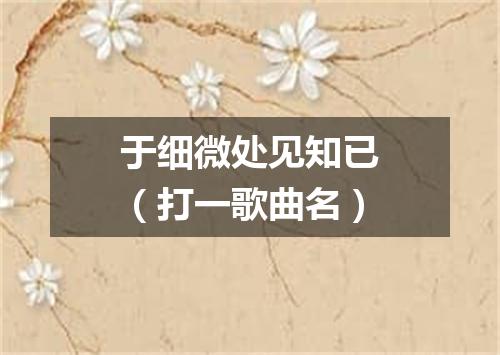 于细微处见知已（打一歌曲名）