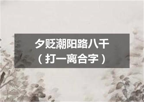 夕贬潮阳路八千（打一离合字）