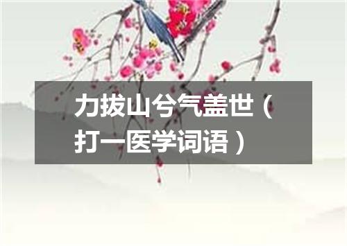 力拔山兮气盖世（打一医学词语）
