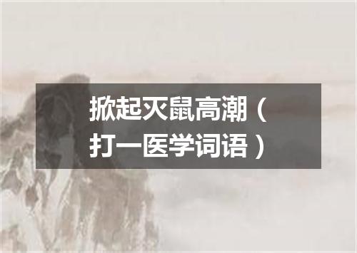 掀起灭鼠高潮（打一医学词语）