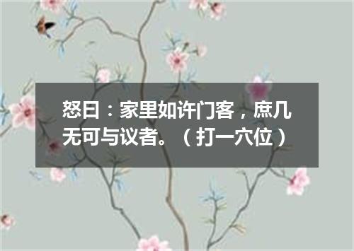 怒曰：家里如许门客，庶几无可与议者。（打一穴位）