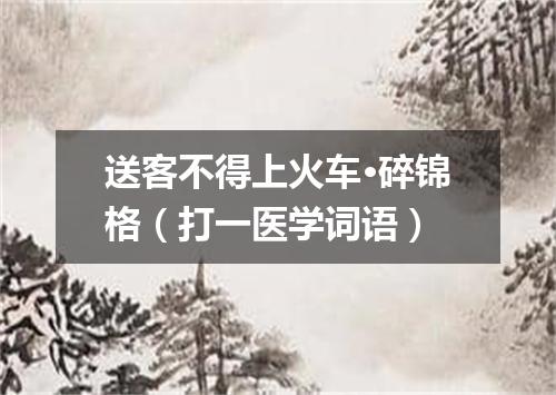 送客不得上火车·碎锦格（打一医学词语）