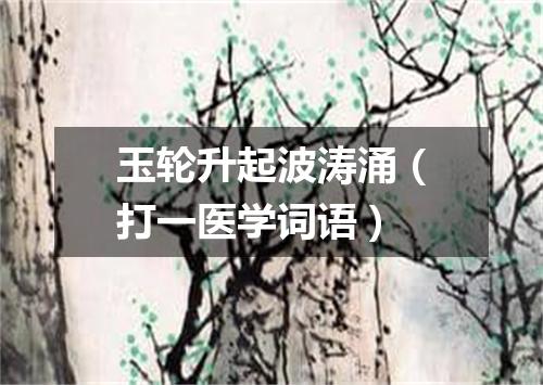 玉轮升起波涛涌（打一医学词语）