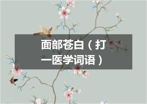 面部苍白（打一医学词语）