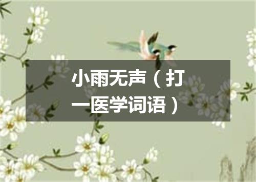 小雨无声（打一医学词语）