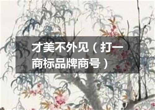 才美不外见（打一商标品牌商号）