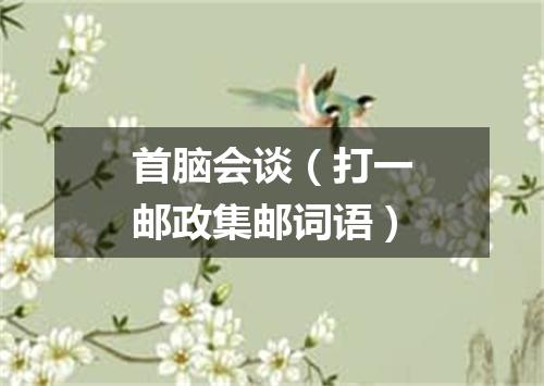 首脑会谈（打一邮政集邮词语）