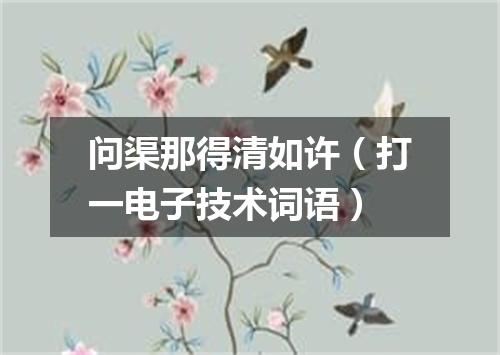 问渠那得清如许（打一电子技术词语）