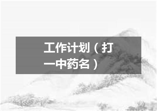 工作计划（打一中药名）