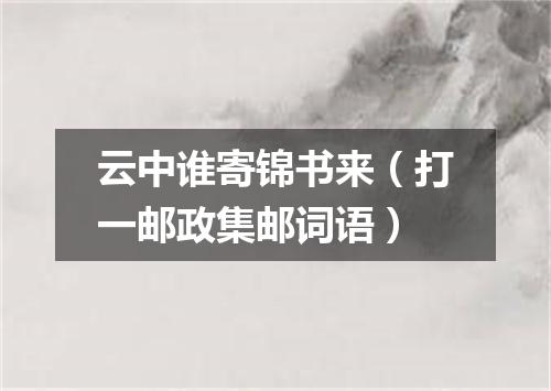 云中谁寄锦书来（打一邮政集邮词语）
