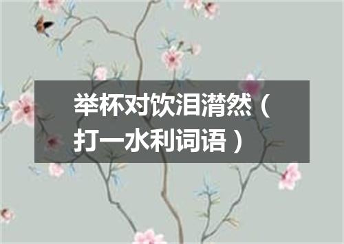 举杯对饮泪潸然（打一水利词语）