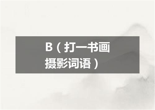 B（打一书画摄影词语）