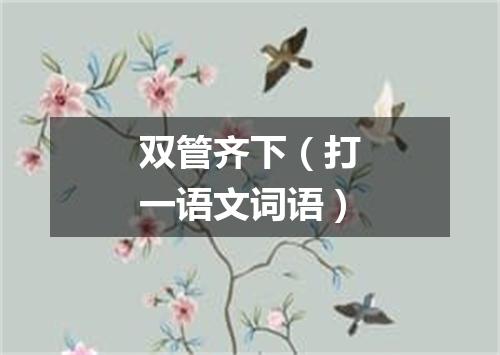 双管齐下（打一语文词语）