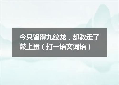 今只留得九纹龙，却教走了鼓上蚤（打一语文词语）