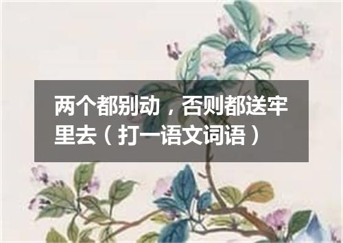 两个都别动，否则都送牢里去（打一语文词语）