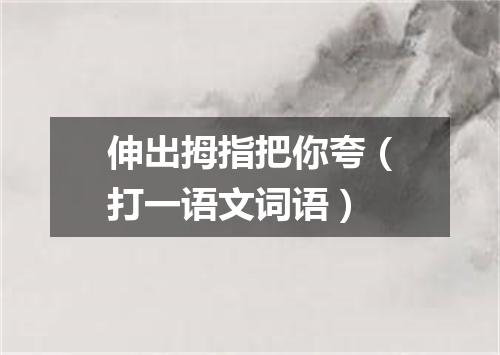 伸出拇指把你夸（打一语文词语）