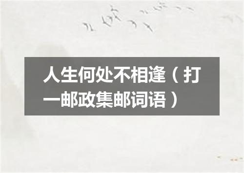 人生何处不相逢（打一邮政集邮词语）