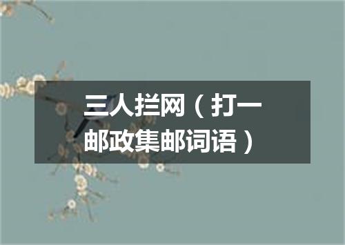 三人拦网（打一邮政集邮词语）