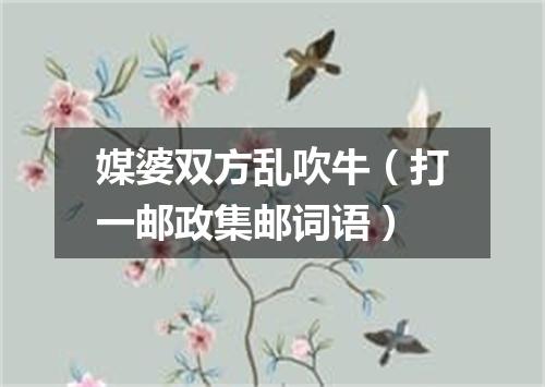 媒婆双方乱吹牛（打一邮政集邮词语）