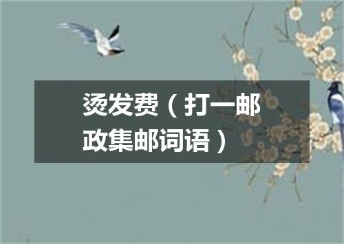 烫发费（打一邮政集邮词语）
