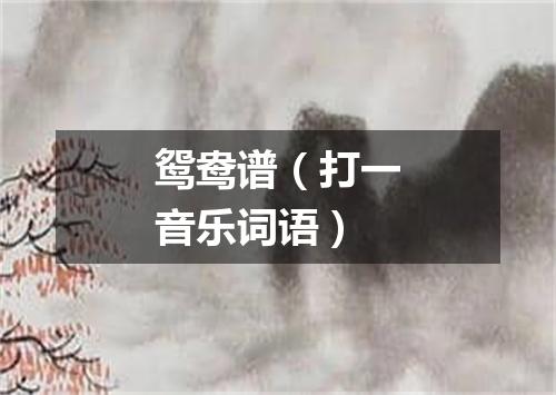 鸳鸯谱（打一音乐词语）