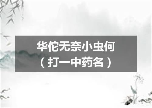 华佗无奈小虫何（打一中药名）