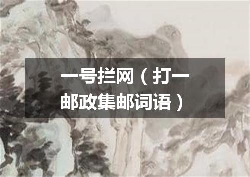 一号拦网（打一邮政集邮词语）