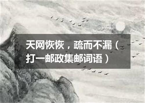天网恢恢，疏而不漏（打一邮政集邮词语）