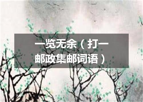 一览无余（打一邮政集邮词语）
