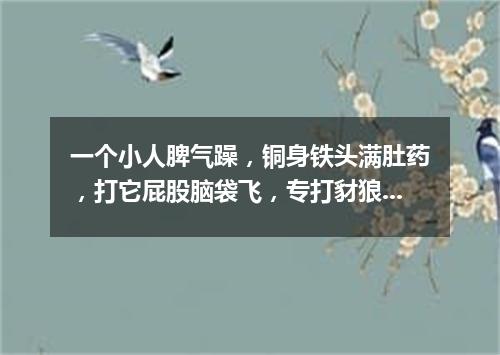 一个小人脾气躁，铜身铁头满肚药，打它屁股脑袋飞，专打豺狼狗强盗。（打一军事物品）