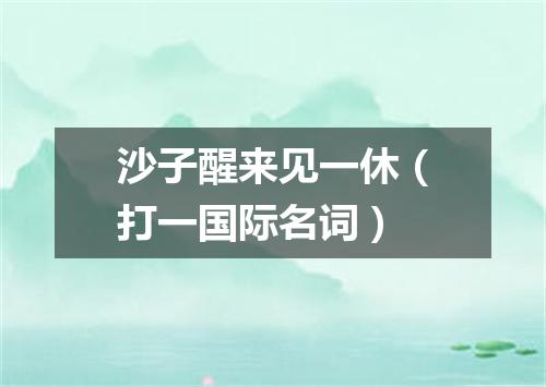 沙子醒来见一休（打一国际名词）