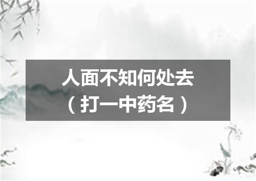 人面不知何处去（打一中药名）