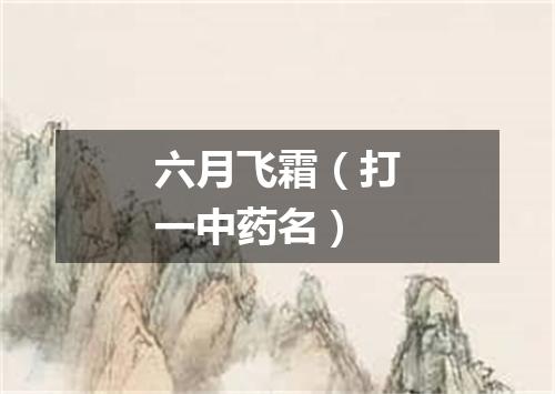 六月飞霜（打一中药名）