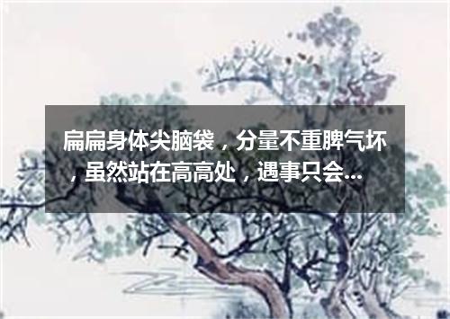 扁扁身体尖脑袋，分量不重脾气坏，虽然站在高高处，遇事只会随风摆。（打一气象用具）
