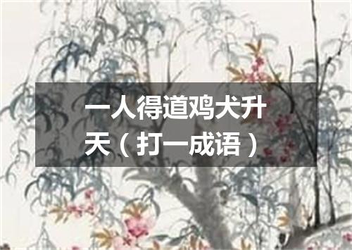 一人得道鸡犬升天（打一成语）