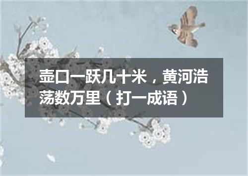 壶口一跃几十米，黄河浩荡数万里（打一成语）