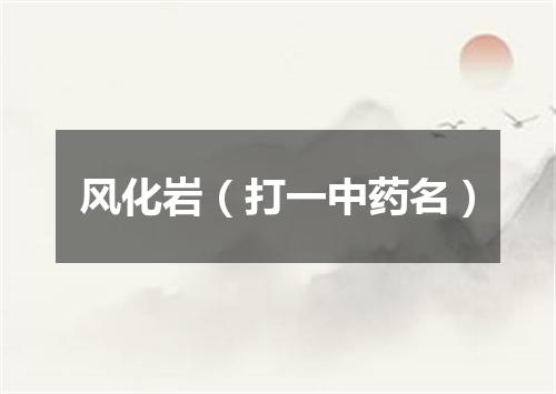 风化岩（打一中药名）