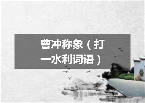 曹冲称象（打一水利词语）