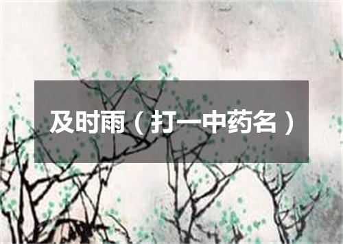及时雨（打一中药名）