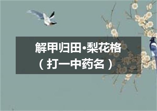 解甲归田·梨花格（打一中药名）