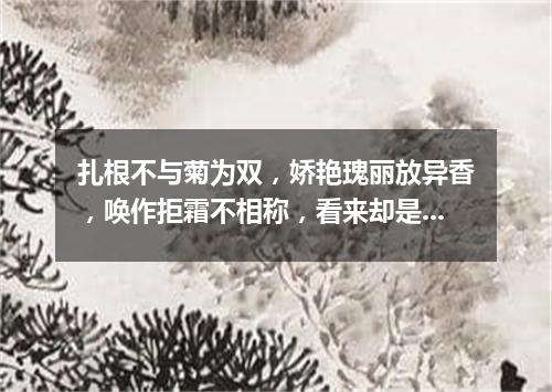 扎根不与菊为双，娇艳瑰丽放异香，唤作拒霜不相称，看来却是最宜霜。（打一植物）