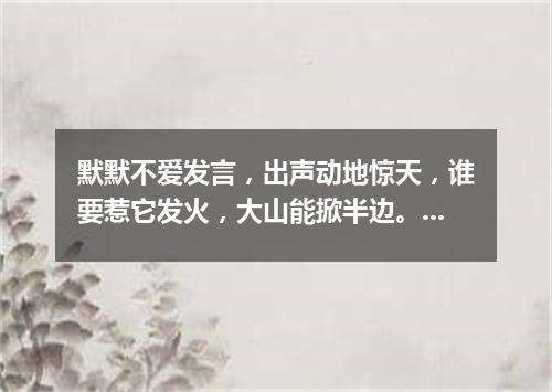 默默不爱发言，出声动地惊天，谁要惹它发火，大山能掀半边。（打一军事物品）
