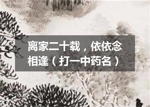 离家二十载，依依念相逢（打一中药名）